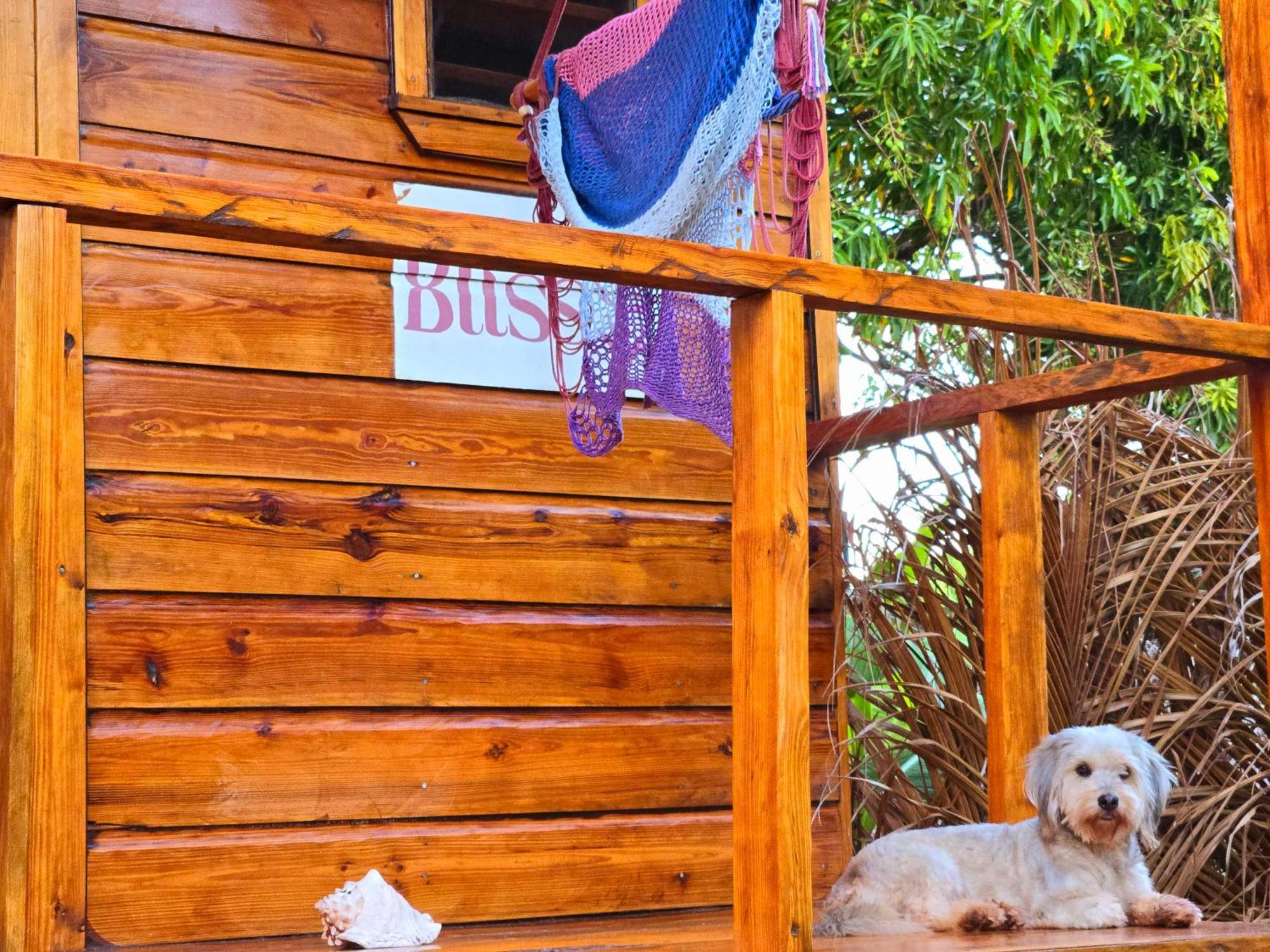 מלון The Lighthouse Retreat, Little Corn Island, Nicaragua מראה חיצוני תמונה